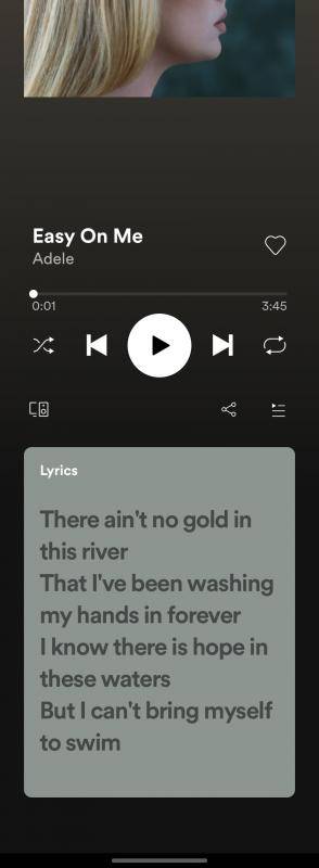Spotify Lyrics on mobile