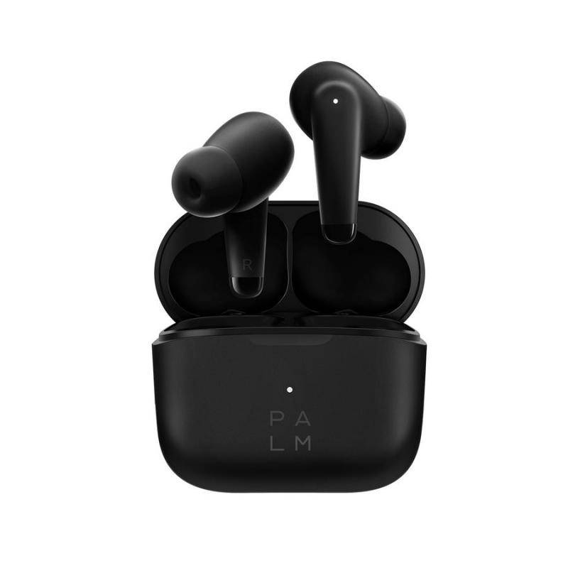Palm Buds Pro case and earbuds