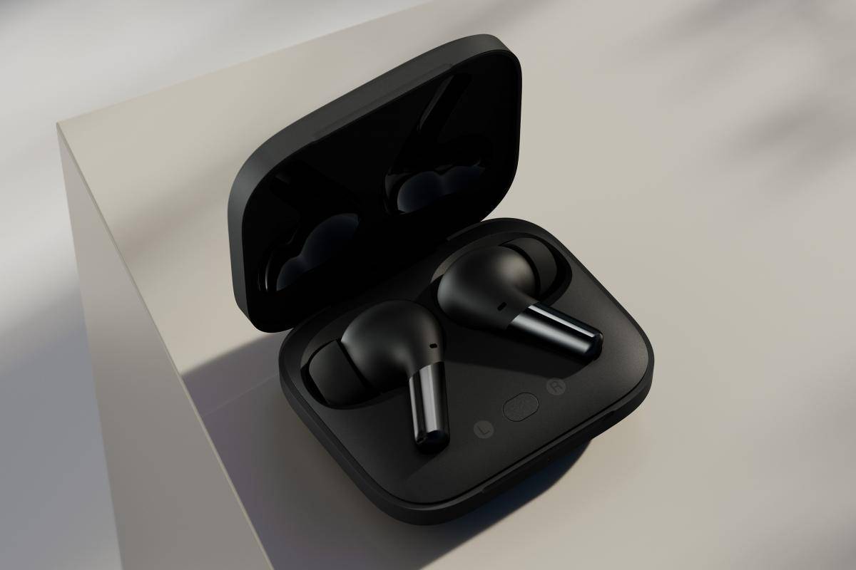 Case and earbuds_matte black