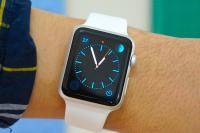 Apple Watch Review Software 1
