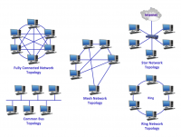 Common-network-topologies