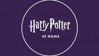 Harry Potter a casa