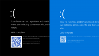 Black and Blue Screen of Death on Windows 11