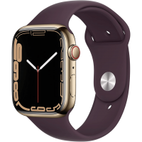 Apple Watch Series 7 in Gold