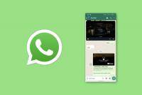 Whatsapp new picture in picture design with logo