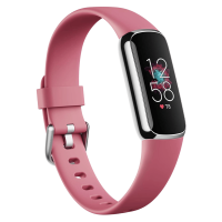 Fitbit Luxe in Silver