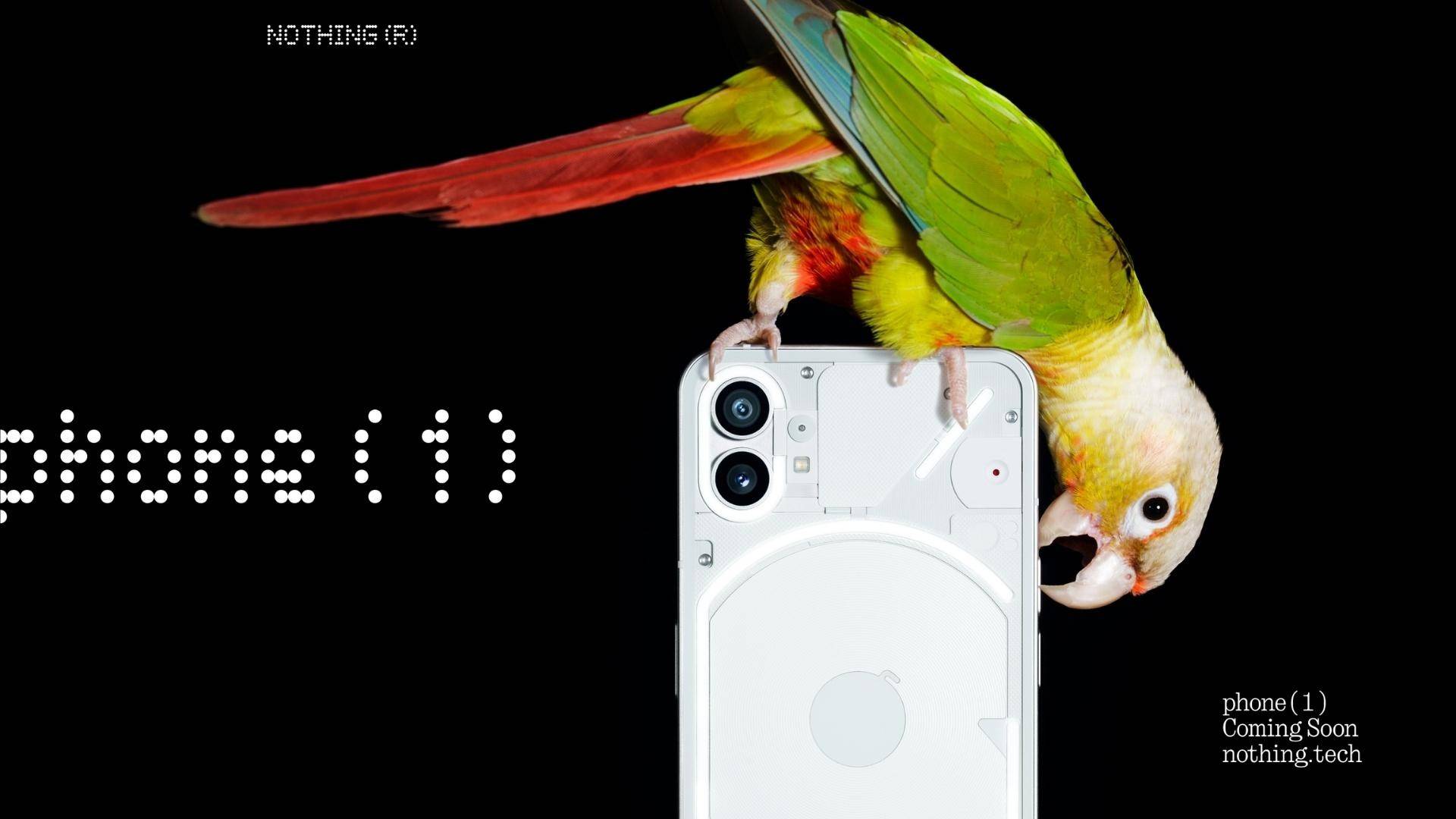 An image showcasing the back panel of nothing phone 1 with a bird sitting on top of it