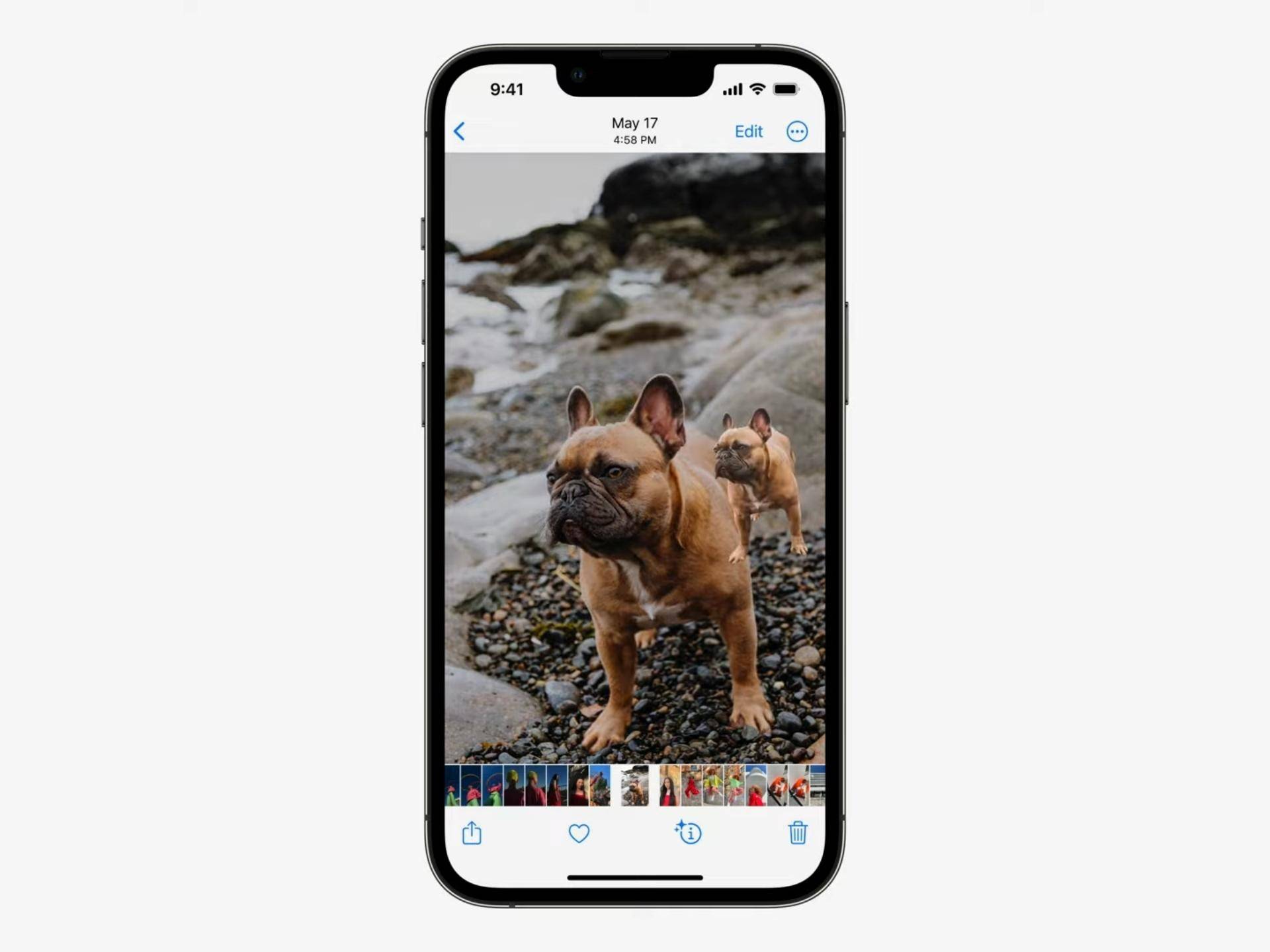 an image showing how the cutout made via Visual Look Up on iOS 16 will show