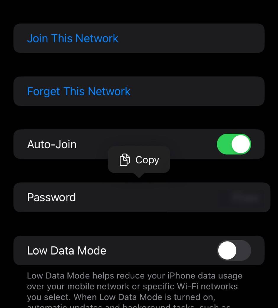 iOS 16 Wi-Fi password check